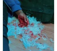 Kaonashi Dear Lemon House, You Ruined Me: Senior Year (CD) Album