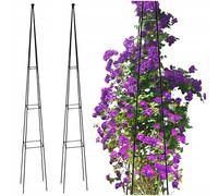 Kapaga - Pergola en métal - Lot de 2 treillis obélisques de jardin 120 x 13 cm - Acier Ø 6 mm - Noir - Support pour plantes pour roses, clématites, plantes grimpantes - Entièrement soudé, pas de