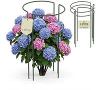 Kapaga - Support pour Plantes vivaces - Support de Fleurs - Support pour Plantes grimpantes - Support pour Plantes grimpantes - Support pour Roses - 70 cm Vert (1) (4)
