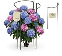 Kapaga - Support pour Plantes vivaces - Support de Fleurs - Support pour Plantes grimpantes - Support pour Plantes grimpantes - Support pour Roses - 70 cm Vert x1