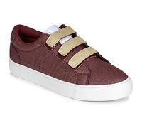 Kaporal Baskets basses TIPPYK in Rouge 39