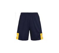 Kappa Daggo Short, Bleu/Jaune, L Homme