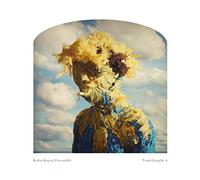 Kuba Kapsa Vantdraught 4 (Vinyl) 12" Album