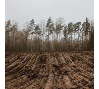 Kaptain Kaizen - Alles und Nichts [Import]