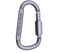 Karabiner Hooks D Forme - Porte lip de sac à dos, kit de fermeture à crochet en plein air | Aide de crochet de verrouillage de camping, clip de sécurité en métal pour bagages d'équipement