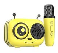 CGV Enceinte Bluetooth Karaoké Maya – Micro sans fil, Effets voix magiques, Autonomie 8h, Recharge USB