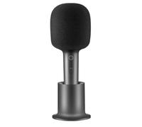 Karaoke Microphone