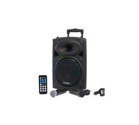 Karaoké mobile 500W USB/MP3 IBIZA PORT10VHF-BT