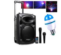 Karaoké mobile 500W USB/MP3 IBIZA PORT10VHF-BT + Ampoule mini Diams RVB