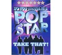 Karaoke - So You Wanna Be A Pop Star - Take That!