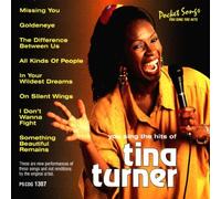 Karaoke: Tina Turner Hits 2
