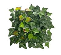 KARAT Mur de Plantes Artificielles à Fixer - 33 x 33 cm - Jardin Mural - Plante Artificielle Avec Lierre Décoratif pour Balcon et Jardin (Ivy)