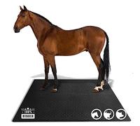 KARAT Tapis d'écurie en Caoutchouc Diamond Top Tapis de Sol pour l'élevage - Antidérapant & résistant - Surface soulageant la Pression et ménageant Les articulations (180 x 120 cm)