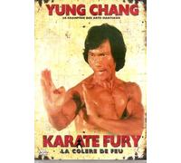 Karate Fury