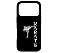 Karate Kung-Fu Taekwondo Aïkido Ju-Jutsu Karaté Coque pour iPhone 17 Pro