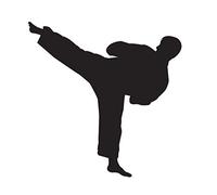 Karate Martial Arts Taekwondo Kung Fu Vinyl Decal Window Sticker Car Wall Kick, Die Cut Vinyl Decal for Windows, Cars, Trucks, Tool Boxes, laptops, MacBook - virtually Any Hard, Smooth Surface