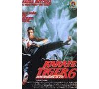 Karate Tiger 6 - Entscheidung in Rio [VHS]