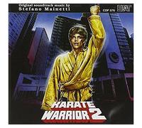Karate Warrior