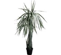 Kare Dragon Tree Plante décorative design - Vert - Hypoallergénique - Facile d'entretien - Pas de pollen ni de moisissure - Grand objet de décoration pour le salon - Avec pot - 155 x 70 x 70 cm (H x l
