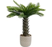 Kare Plante décorative Design Cycas - Vert - Hypoallergénique - Facile d'entretien - Pas de Pollen ni de moisissure - Grand Objet de décoration pour Le Salon - avec Pot - 70 x 55 x 55 cm (H x l x P)