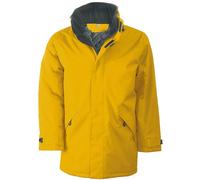 Kariban - Parka - Homme (M) (Jaune/Gris foncé) - UTRW731 Jaune/Gris Foncé, Jaune/Gris foncé