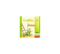 Karibu. Fibel: Für Die Ausleihe