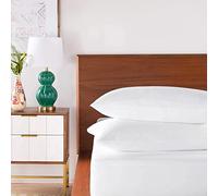 Karin Maki Lot de 2 Housses de Coussin Standard à Fermeture éclair 100 % Polyester Jersey imperméable, Doux et Respirant (50,8 x 66 cm)