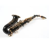 Karl Glaser Saxophone Soprano, courbé, noir/or, avec étui