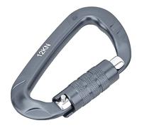 Karlak Mousqueton Léger à Verrouillage D, Boucle en Aluminium Robuste pour Activités de Plein Air, Hamacs 12KN 1 Pièce (Grise)