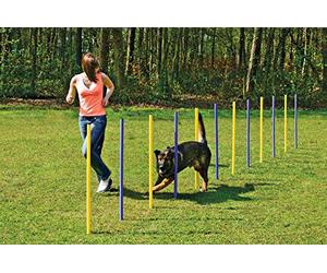 Karlie - Agility Slalom / 31855 - Set de slalom - 24 pièces