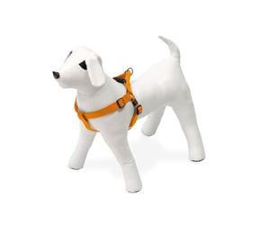 Karlie Art Sportiv Plus Harnais, 25 mm 40-70 cm, Orange, 1-2 - 3 Step et Go