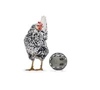 KARLIE Beeztees BZ Huehner Snackball 15 cm Gris