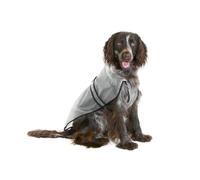 Karlie Classic Manteau imperméable pour Chien Transparent en 8 Tailles (30 à 60 cm)