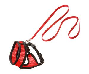 Karlie Lanière pour Chats Harms pour Grand Courses Rouge-Noir, Neuf