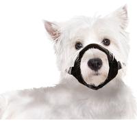 Muselière en nylon noir taille s - jack russel westie