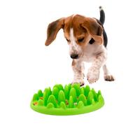 Northmate Mini Gamelle pour Chien Vert (29 x 22,5 x 7 cm)