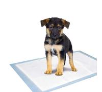 Karlie Puppy Pads Tapis d'entraînement - Education canine - S - 10 pcs - 35x45 cm