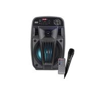 Cassa attiva trolley Ridem V Singer