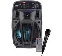 Cassa attiva trolley Ridem V Singer