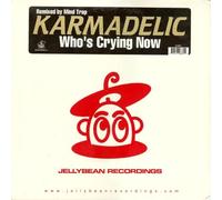 Karmadelic ft. Sandy B – Who's Crying Now