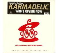 Karmadelic ft. Sandy B – Who's Crying Now