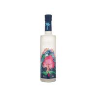 Karneval Vodka 50cl