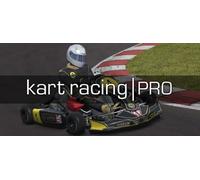 Kart Racing Pro (PC)