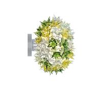 Kartell Bloom Applique murale/Plafonnier, G9, 09270MN,