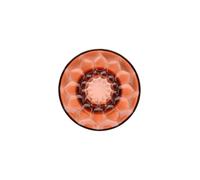 Kartell Jellies Coat Hangers, Patères, Moyen, Rose, 2 pièces
