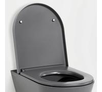 LAUFEN Kartell Siège de WC avec couvercle, amovible, avec dispositif dabaissement automatique, H8913337580001, Couleur: Graphite mat