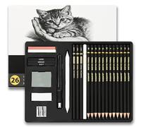 KASAFE Kit de 26 Crayons de Dessin et de Croquis Professionnels - Graphite (6B-4H), Charbon, Gommes, Éminceur - Du Débutant au Professionnel, Tous Âges