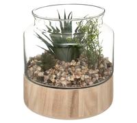 Créateur d'intérieur - Terrarium en Verre & Bois "Brito" 17cm Transparent