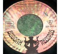Kasenetz-Katz Singing Orchestral Circus, The - Down In Tennessee / Mrs. Green - Buddah Records - 201 017