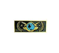 Kashasin CSGO Broche en métal The Global Elite Pin CS GO Collection Pin Cadeau, Zinc